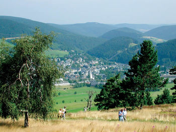 Aanbiedingen-Willingen